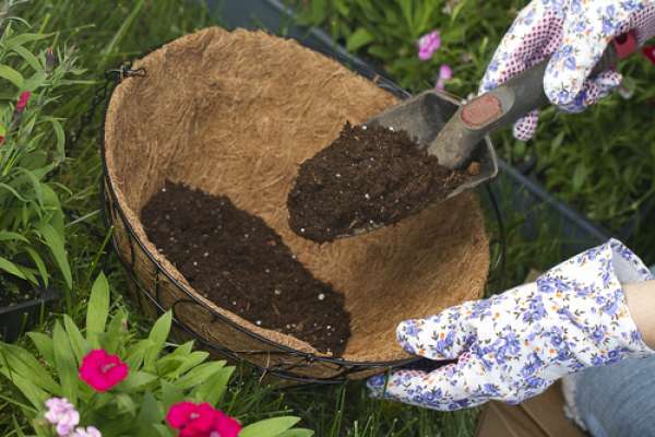 Best Compost Types, Planting Hanging Baskets